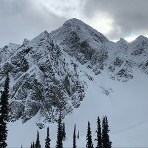 Meet your Posher, Zach